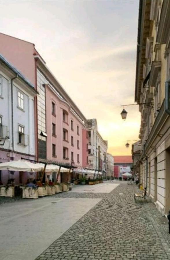 Savoya Residence Timisoara Ngoại thất bức ảnh